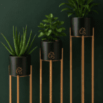 Modern Black Plant Stand
