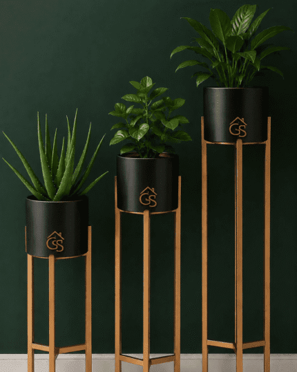 Modern Black Plant Stand